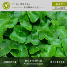 身体护理加工;化妆水爽肤水;单方精油