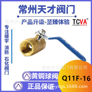 ��� �S�~�z�����y 216�� �~���y���P����ć����w ���{ůͨ�y�T