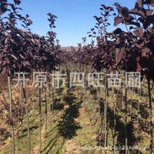 �t�~���~���� �������~���С����@�־G��ռ�ؘ�