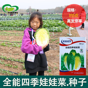 ���޲˷N���ļ������޲� �߲˷N�����l С�ײ˷N��