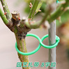 Cross -border vine plant fixing climbing vine strap tie line gardening tool plastic fish bone tie band -bodied buckle clip