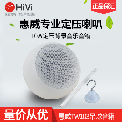Hivi/Huiwei TW-103 hanging ball constant pressure audio hanging boom ceiling speaker background music speaker