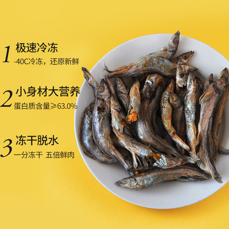 Small Fish Jerky Cat Snacks Freeze-Dried Reward Snacks Cat Nutrition Cat and Dog Snacks Full of Seeds Spring Fish Kitten Cat Food