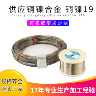 �S�ҹ���CuNi19�~懺Ͻ��NҎ���~懺Ͻ�z����r���~����z