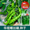 Screw pepper pepper seeds wholesale farmland vegetables, cooked wrinkle spicy flavors, dark green pepper and vegetable seeds