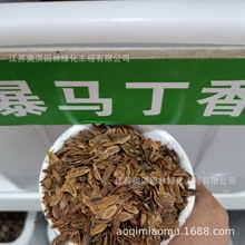 散装暴马丁香种子白丁香荷花丁香种子紫丁香种子风景树绿化林木种