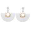 Universal fashionable earrings, suitable for import, European style