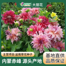 ���l�������N��N�� ������ �عϻ������������շN��������