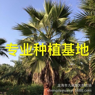 �������˿��������l�A�خa�� ���K�Aʢ�D�ؙ����� �㽭���˿��r��