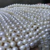 Cream white necklace from pearl, 4-6mm