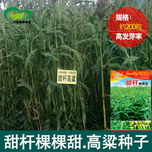 ��Ʒ�N�r�ҿÿ�����U�N�����l ����� ��������N�������N��