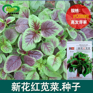 �»��t�{�˷N�� �r��ˈ@���������컨�t�{��Ұ���߲������l