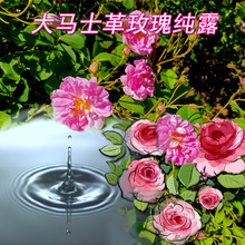 新疆伊犁种植大马士革玫瑰纯露1：1植物原液二斤产地原料批发香味