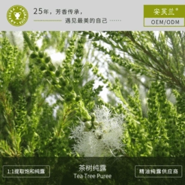 身体护理加工;化妆水爽肤水;单方精油