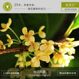 身体护理加工;化妆水爽肤水;单方精油