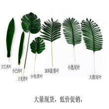 ����廨������ľG�~��׾Gֲ�G��Wʽ���sɢβ�~���~�����~