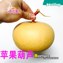 �O�����J �����J���������J����J���J��������ԮԺ���e��