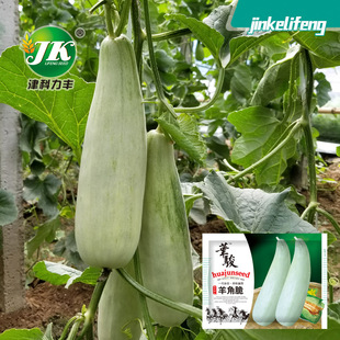 Դ�^�S�����l��Ǵ���ϷN���������ϷN�Ѵ��ļ�ˮ���Ϲ��N����