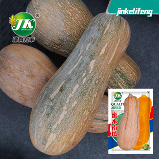 Դ�^�S�����l�۱��ϹϷN���ش����ڸ��������Ϲ��߲˷N�Ѵ���