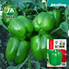 Factory wholesale spring sowing sweet pepper seed peppercorns seeds, big meat thick garden spring season vegetable seeds