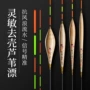竞技灵敏防爆芦苇鱼漂