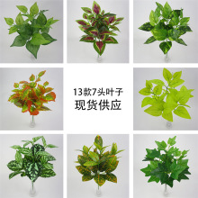 ����}��ֲ��@�־G����� С�ѷ���ֲ����滨�ٻ��G�}�u���~