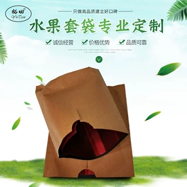 纸袋;水果套袋
