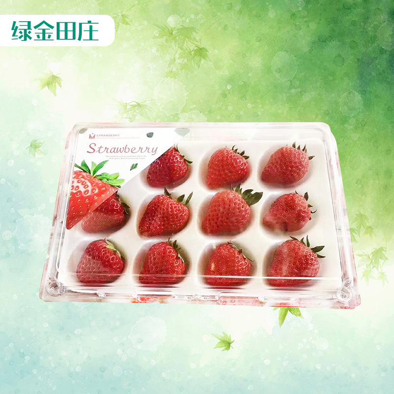 2020新款草莓礼盒包装 草莓包装泡沫保护套 带盖减震泡沫盒