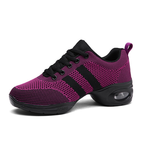 Yang Liping Square Dance Shoes Jazz Dance Shoes Women's Soft Sole Water Ice Dance Ghost Dance Shoes Mesh