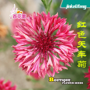�tɫʸ܇�շN��ܽ�ػ��ļ��׷N����������ͥԺ�G���ͺ����ܷN����