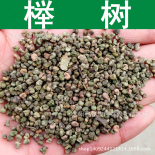 ��ľ�N�� �Θ�N�� ���~�ηN�� �u�͘� �Θ�N�� 1��=1��