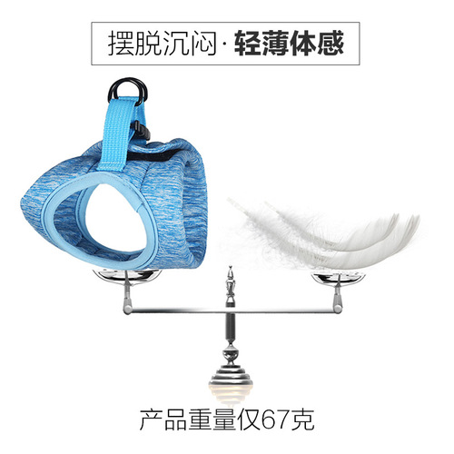 Cat supplies Amazon cat pet walking rope outing leash cat harness puppy cat artifact