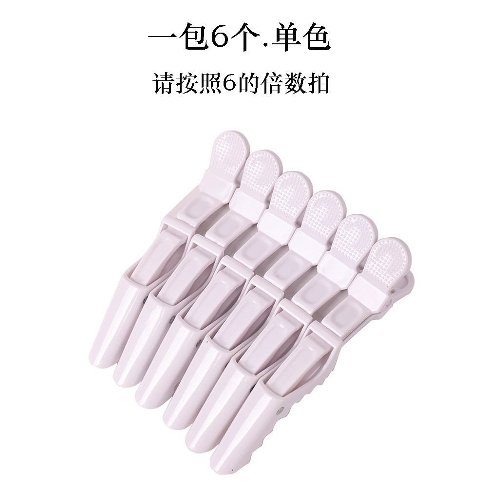 화이트