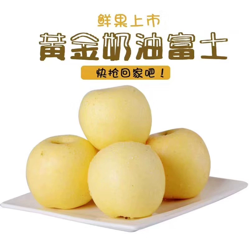 [Шаньдунский золотой крем Fuji Apple] Хрустящие, сладкие, сочные, не красные Fuji 2.5kg свежих фруктов