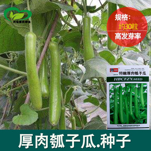 �ۺ����L��ӷN�� ���ѹϷN�� ���J�� �A��� �߲˹Ϲ��N�����l