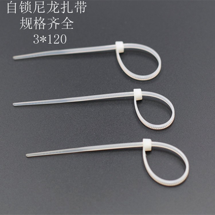 长虹塑料尼龙扎带3*120 自锁式卡扣 塑料束线带 1000pcs/包