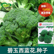 mG˻N rˈ@ԻҬ໨߲l