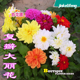 ��Ʒ���д���b�Ͱ������С����������С���������޸��������л�