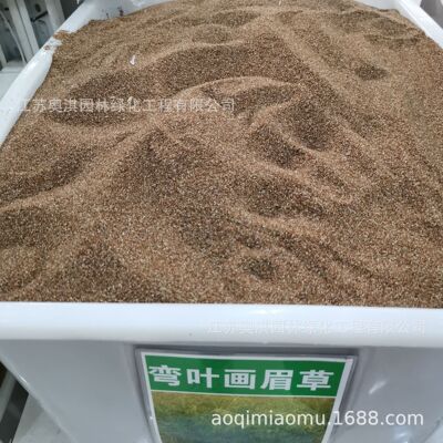 批发草坪种子 弯叶画眉草种子  弯叶画眉草籽 量大优惠 高出芽率|ms