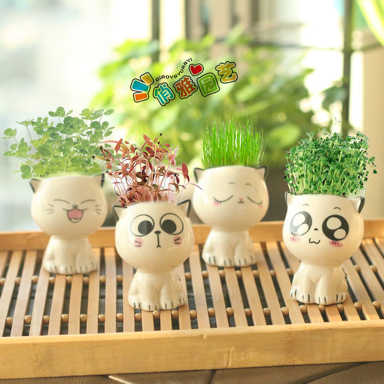 Kitty Baby Children's Toys Science and Education Educational Set Kindergarten Opening Gift Handmade DIY Desktop Potted Plant