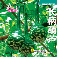 百花园长柄葫芦种子原厂包装鹤首葫芦异形葫芦娃文玩手捻菜葫芦