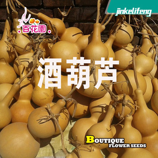 �ƺ��J�N���X�X���J���������J����J���J��������ԮԺ���e��