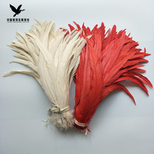 �S��ֱ�N���|Ⱦɫ��ɫ���uβë��ɫ�uë35-40cm ���b�o��