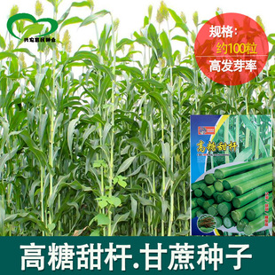 ������U�N�� �r��ˈ@�J�������՗U�L�����֭����������l