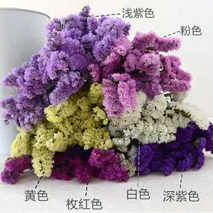 �����ҏS�����l �������ɻ��������˹��Y��Ҿ������b廨