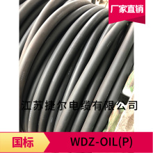 ����WDZ-OIL 2000Vʯ��ƽ̨荾���| 271ƽ��