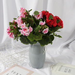 �¿����������Ļ�Ӱ�ǲ��������쾰���ۻ����廨���l