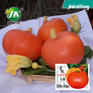 �S�����l�s���t���ϹϷN�Ӽt���������tɫ����������߲˹Ϲ��N��