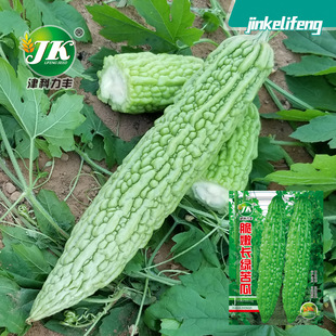 �S�����l�L�G��ϷN����Ƥ��ϷN�Ѵ������LͥԺ�����߲˷N�ѾGɫ