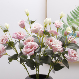 �۹������l���滨�����͏d�͏d���ҷ��g�۹����Ĕz�zӰ����